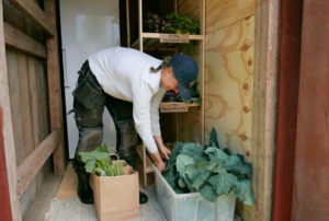 Therese på Granna grönsaker packar ihop sina abonnemangspåsar som är hennes affärsidé